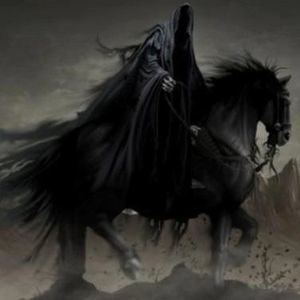 Meet your Posher, Marie-helene